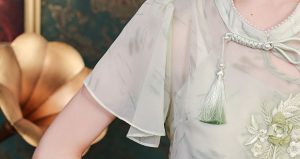 Close-up of sleeves on embroidered cheongsam top